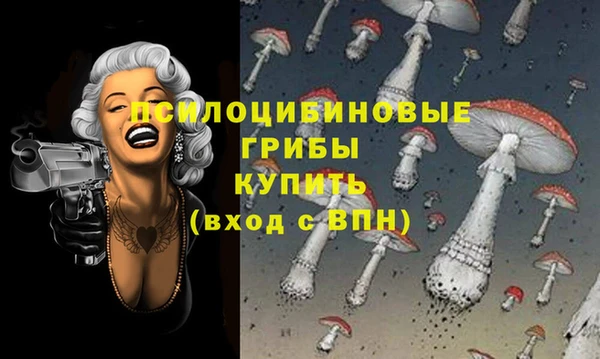 МДПВ Алзамай