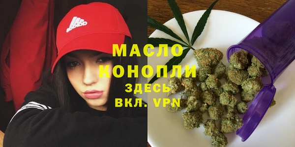 СК Алексин